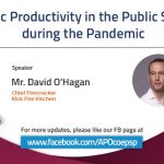 Prolific Productivity in the Public Sector during the Pandemic