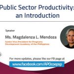Public Sector Productivity: An Introduction