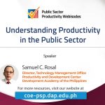 Understanding Productivity in the Public Sector