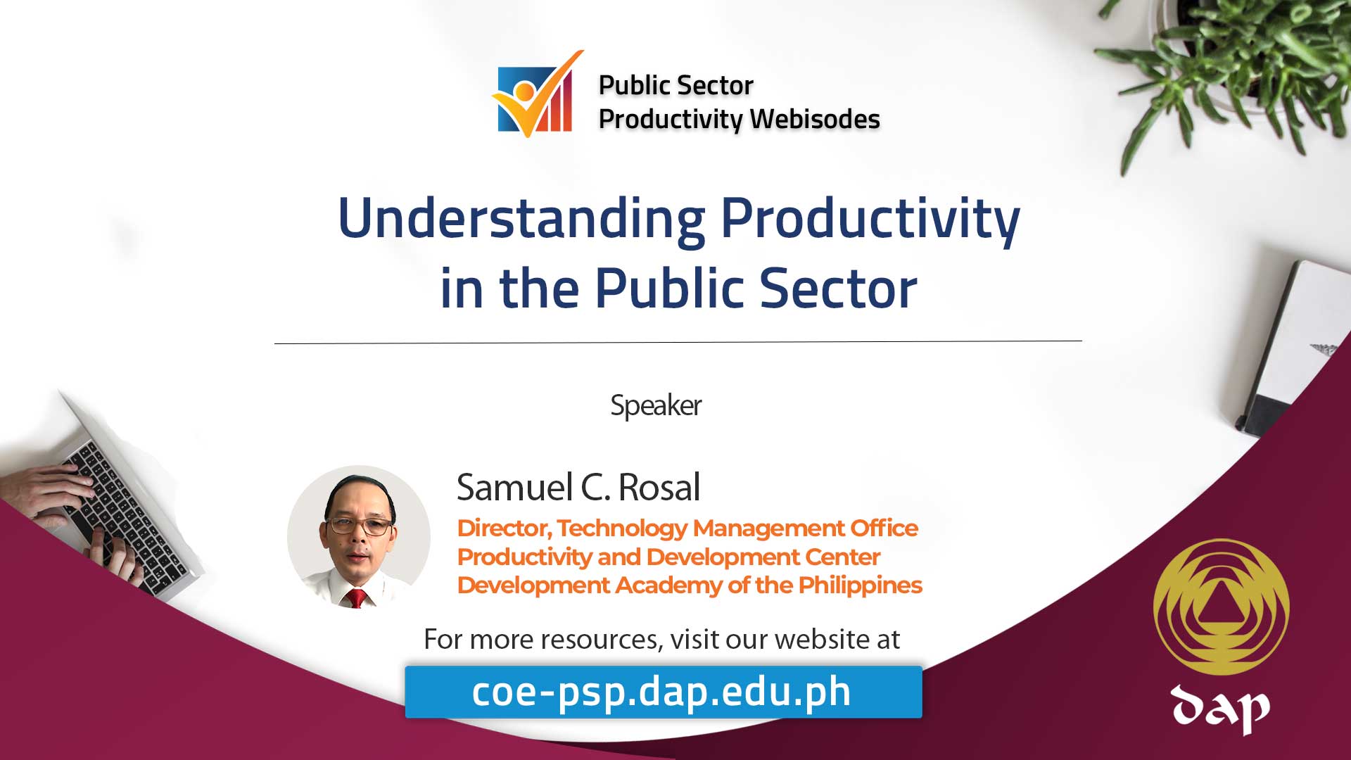 Understanding Productivity in the Public Sector - DAP